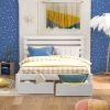 Queen Size Platform Bed with Drawers